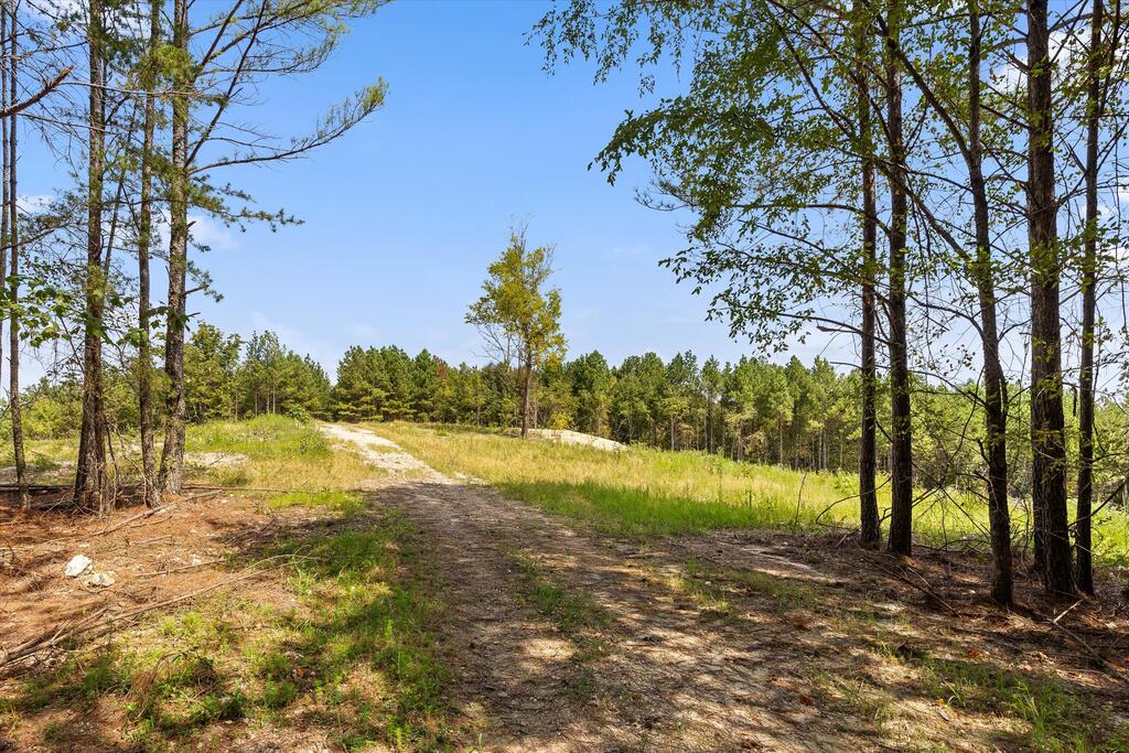 Tract 6 Reed Road