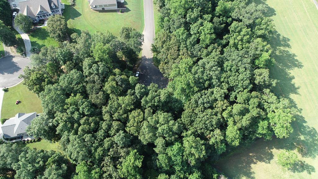 Photo 1 of 10 — 00 Indian Trace Drive, CHATSWORTH, GA 30705