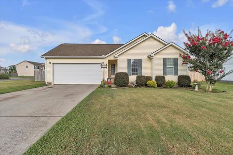 156 Lyndsey Drive CHATSWORTH GA 30705