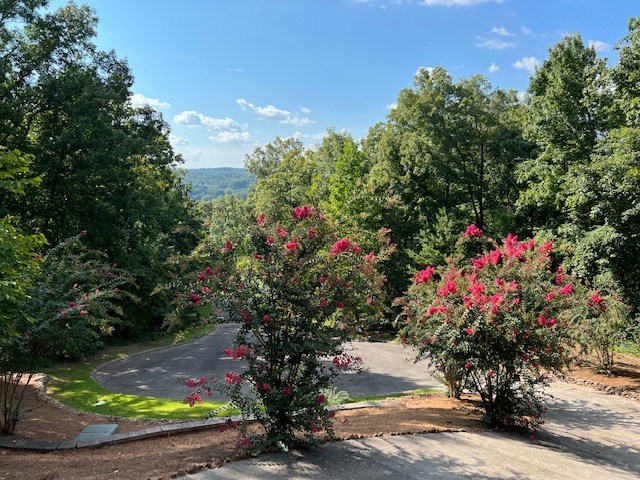 459 Hutcherson Drive