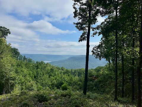 5370 River Bend Road Guild TN 37340