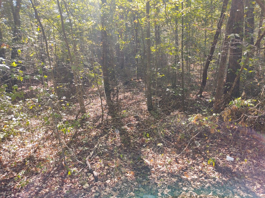 00 Joe Robertson Road