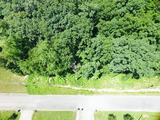LOTS 219 HICKORY RIDGE TRAIL, RINGGOLD, GA 30736 - Image 9d0220756826a7478dfd5578fdff9394/606676986