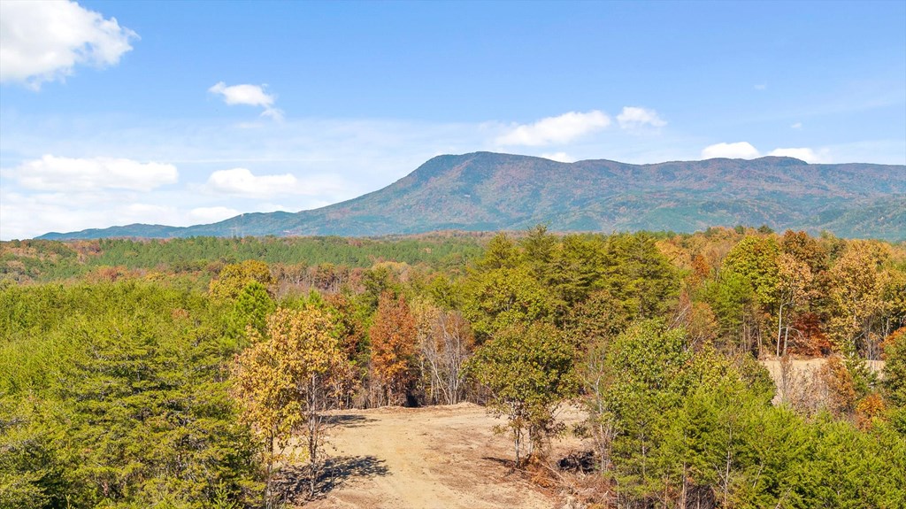 Tract 92 Conniston Road