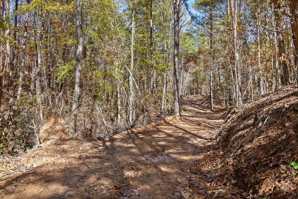 Tract 92 Conniston Road