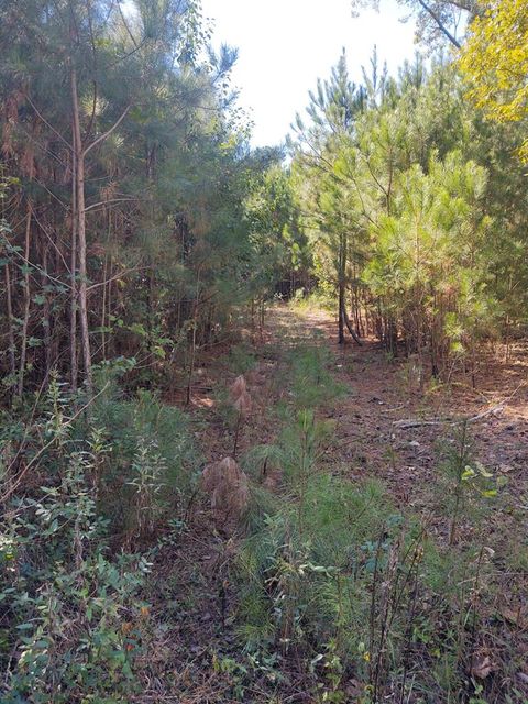 00 Joe Robertson Road ROCKY FACE GA 30740