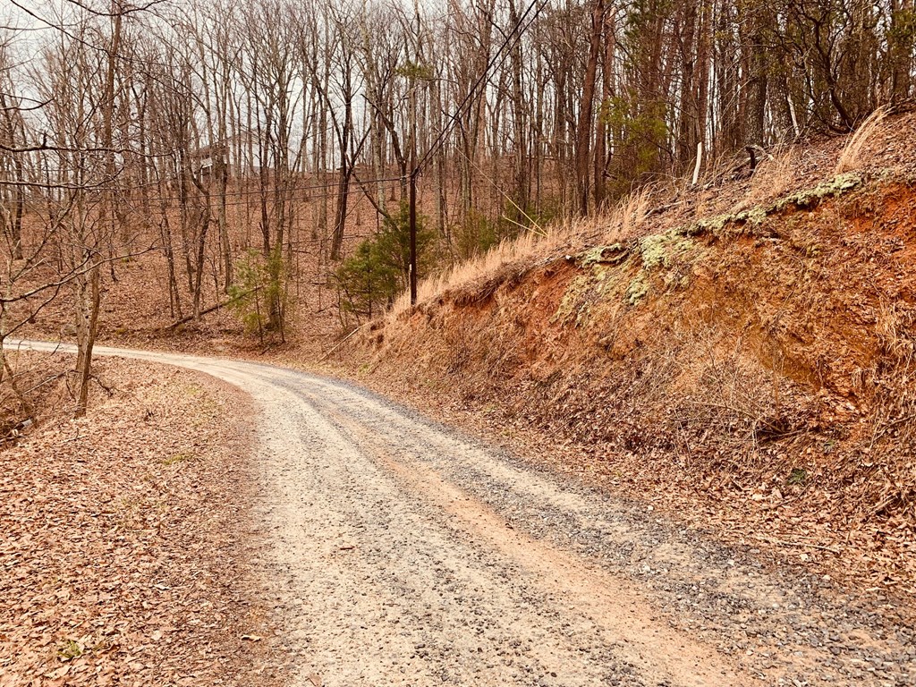 0 Bull Gap Road