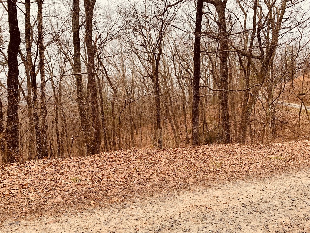 0 Bull Gap Road