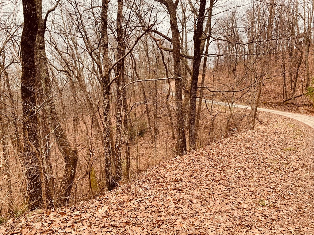 0 Bull Gap Road