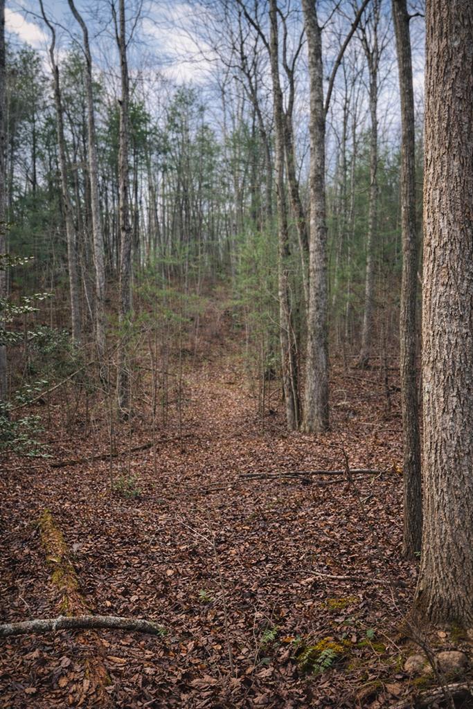 Photo 1 of 4 — 1 Bear Run Circle, Ellijay, GA 30540