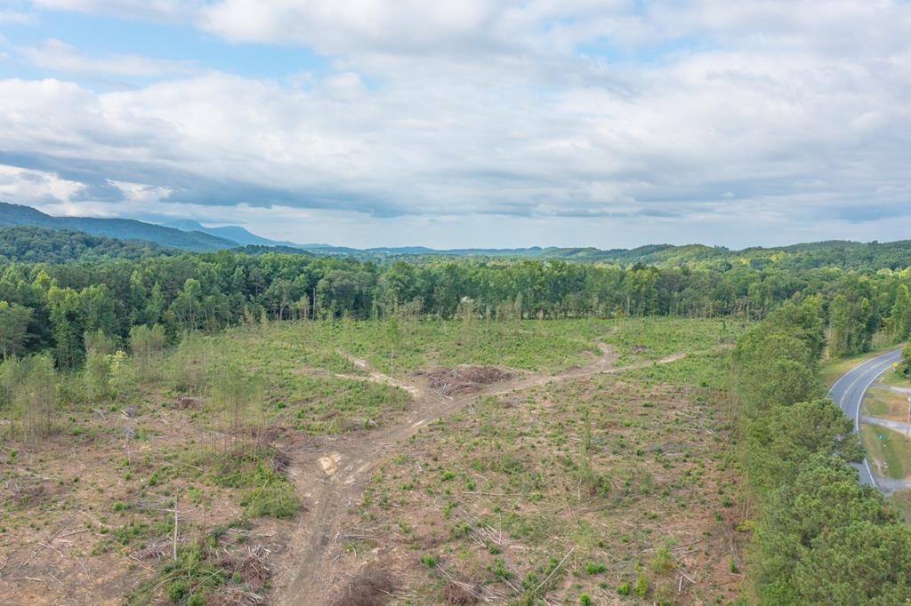 20 Acres N Hwy 411