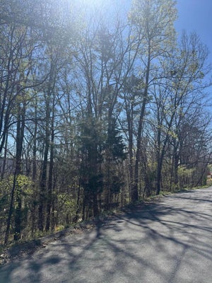 21 SYDNEY LN, TUNNEL HILL, GA 30755 - Image b96835ed4e8cbb263ff1e7d0c6313a79/2734029930