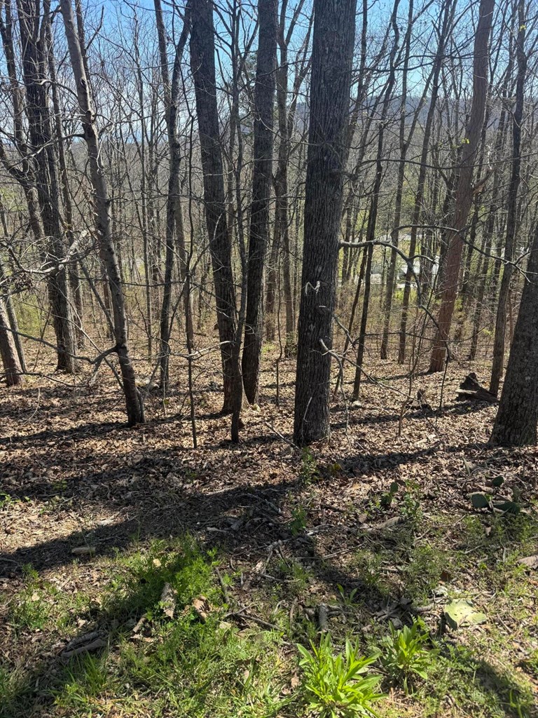 Lot 21 Stoney Point Circle