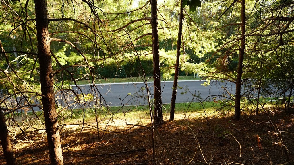 Lot 5 Eden Park Drive