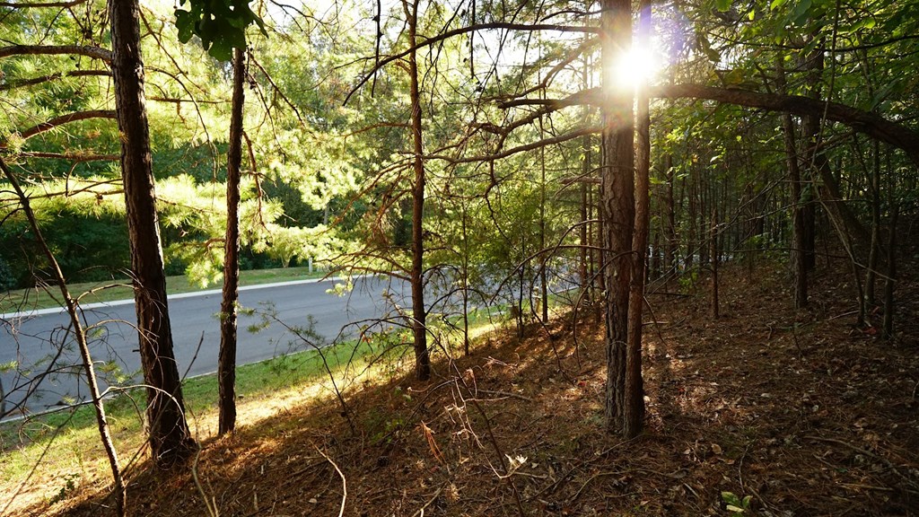 Lot 5 Eden Park Drive