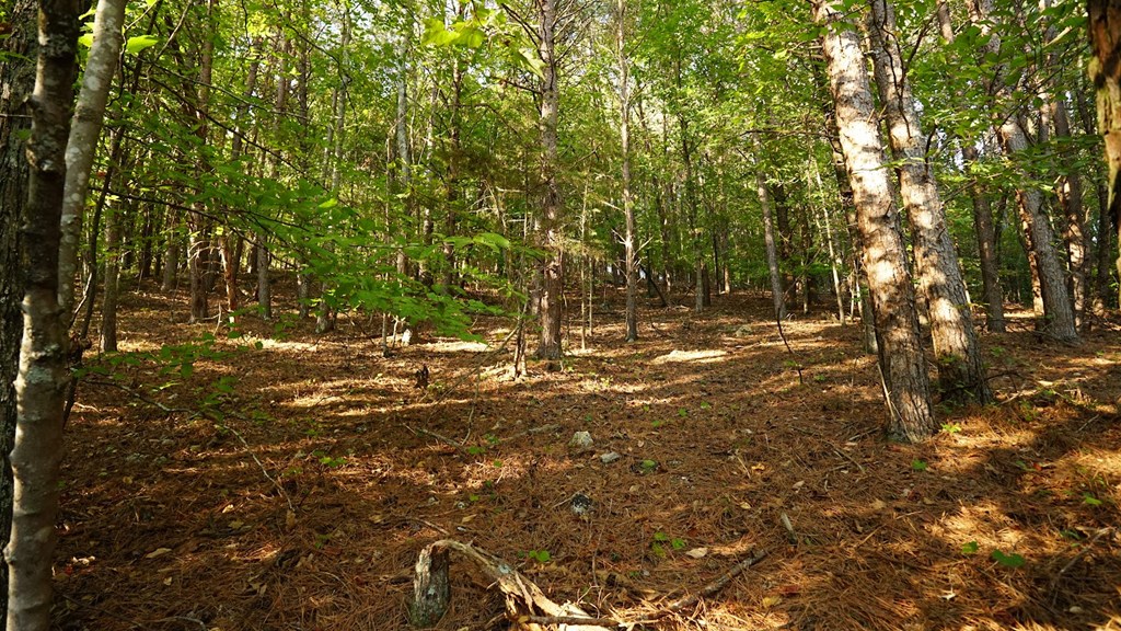 Lot 5 Eden Park Drive