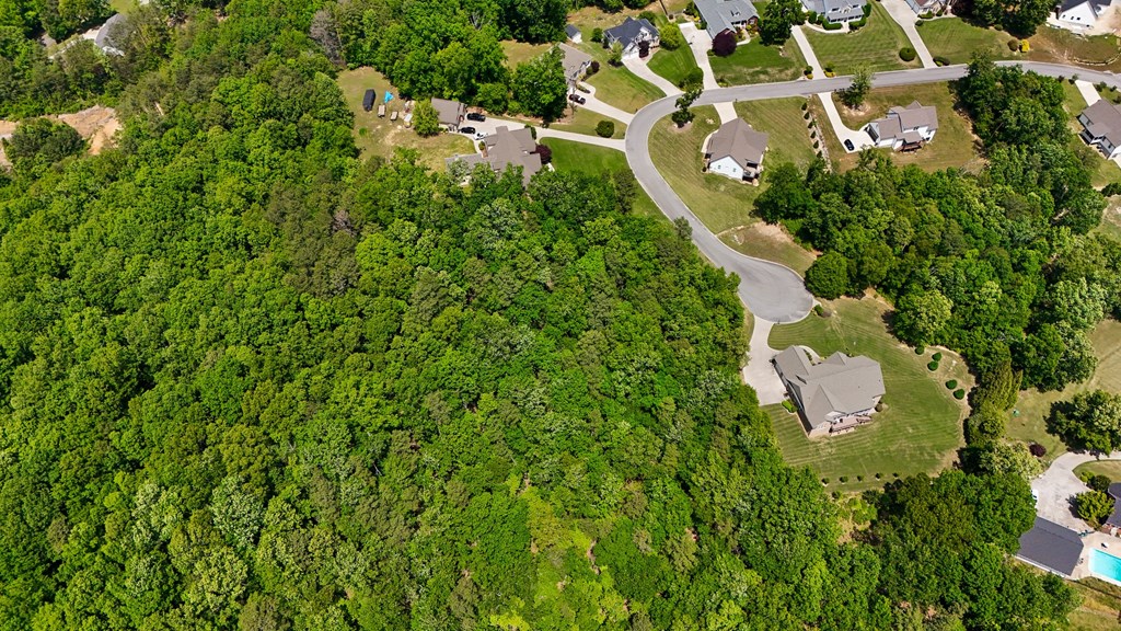 Lot #10 Dockwell