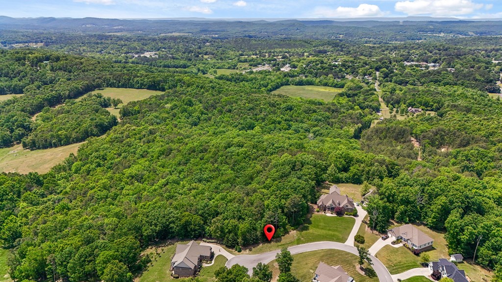 Lot #10 Dockwell