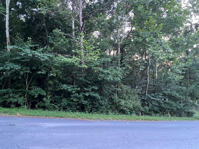 Lot 56 Long Leaf Drive