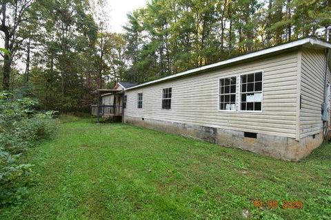 224 Adam Ct Ellijay GA 30040