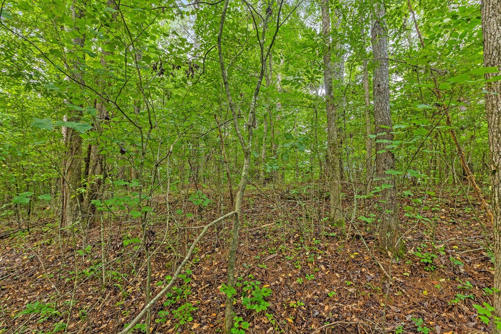 2727 Old Tilton Road