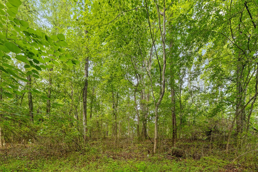 2727 Old Tilton Road