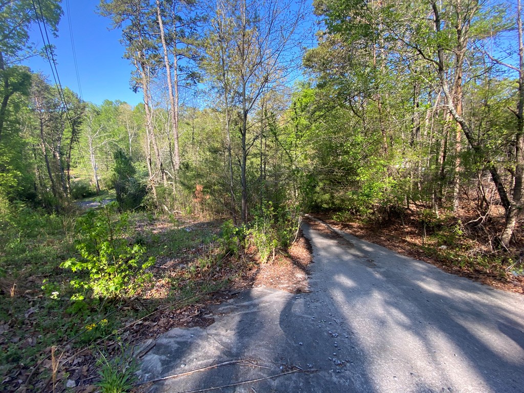 2956 Old Chattanooga Road