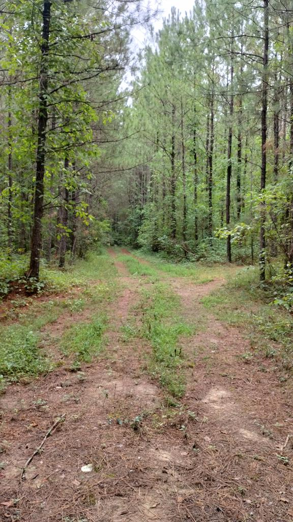 Photo 1 of 7 — Tract 11 Ledford Road, DALTON, GA 30721