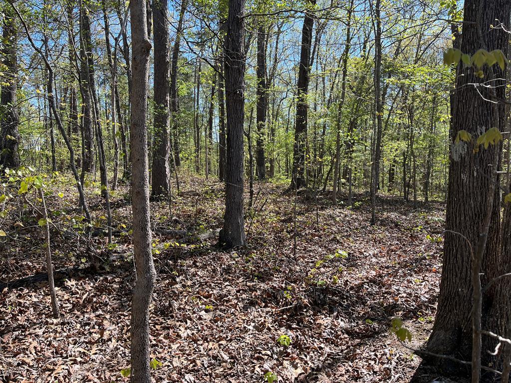 35 acres LaFayette Road