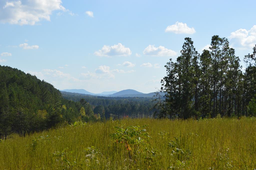 33 acres Hwy 2