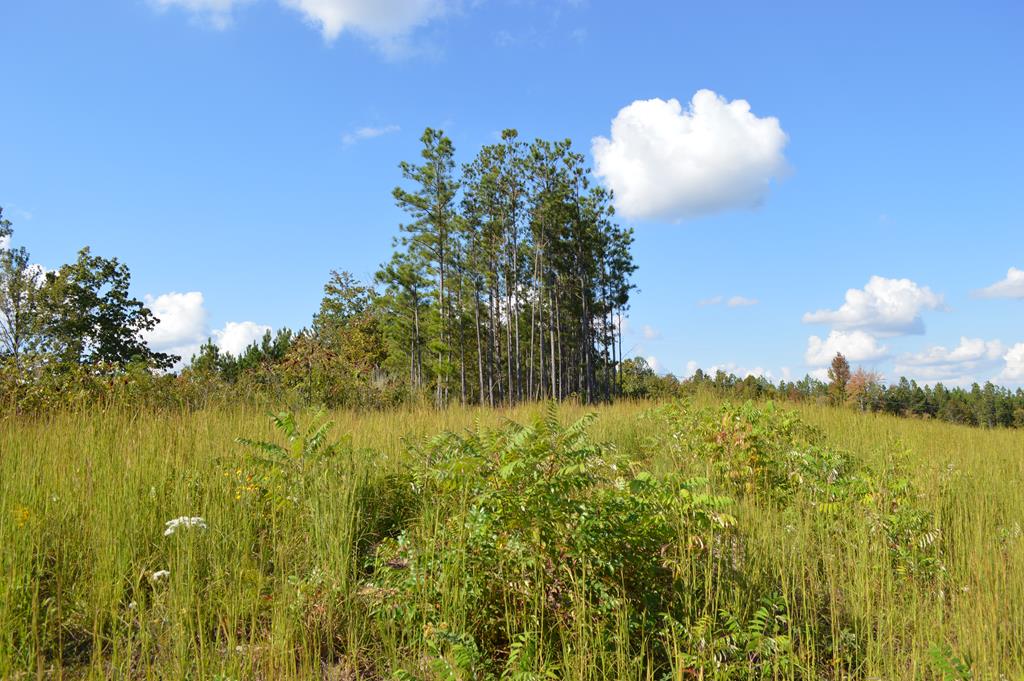 33 acres Hwy 2