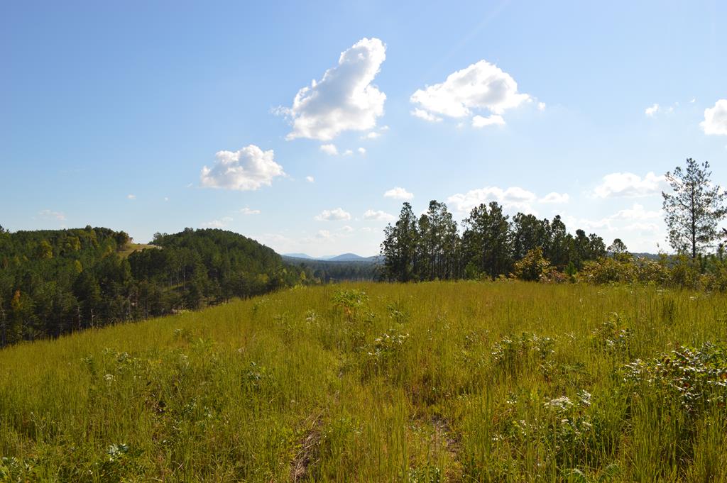 33 acres Hwy 2
