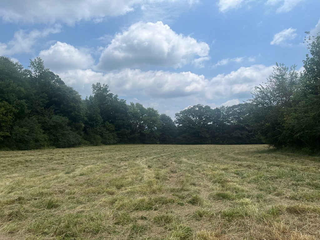 1077 Boyd Road