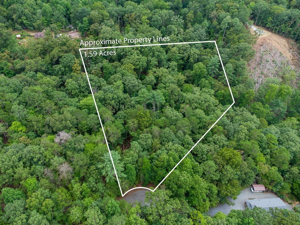 372 Emerald Springs Lane