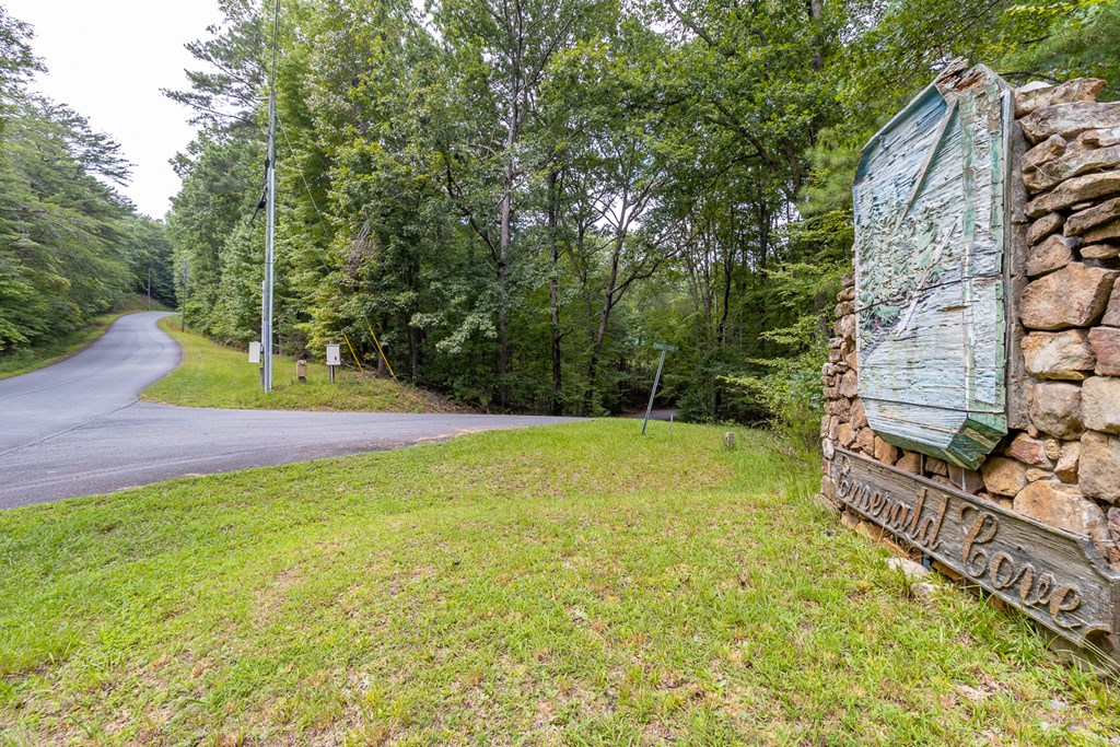 372 Emerald Springs Lane
