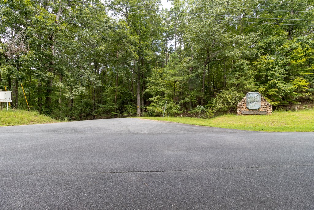 372 Emerald Springs Lane