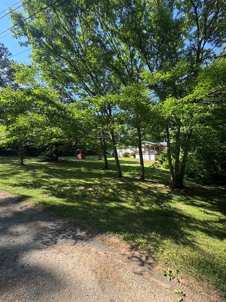 136 Wagon Way