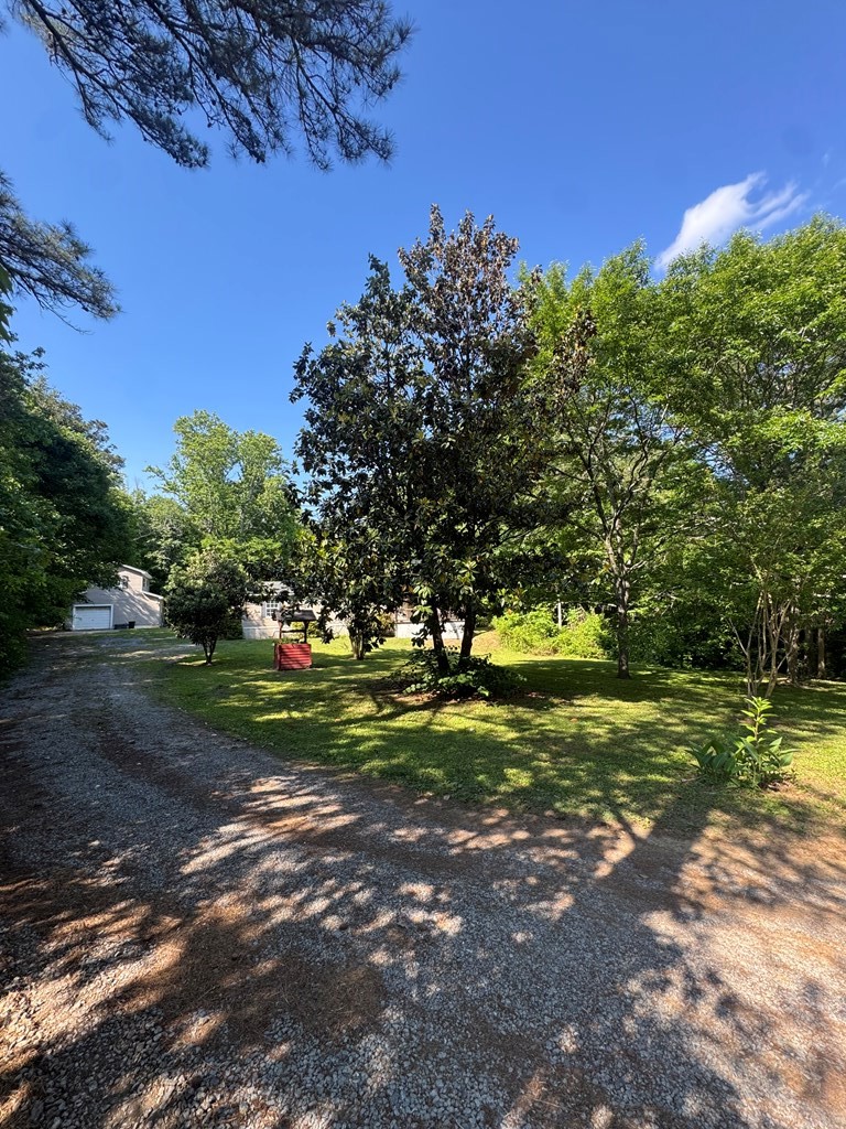 136 Wagon Way