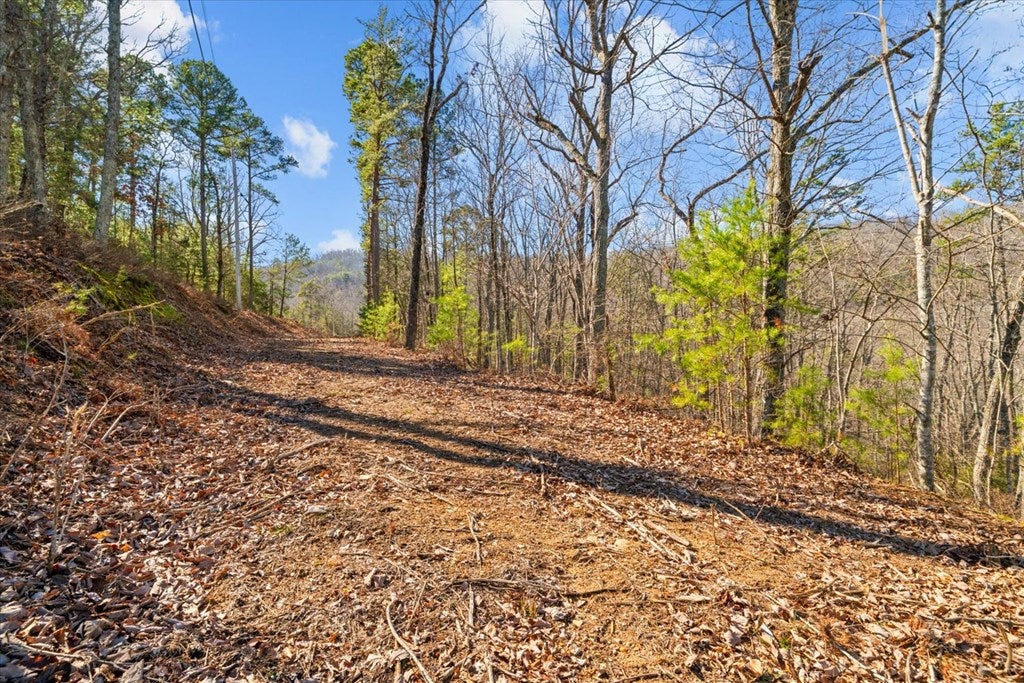 571 Deerfield Lane
