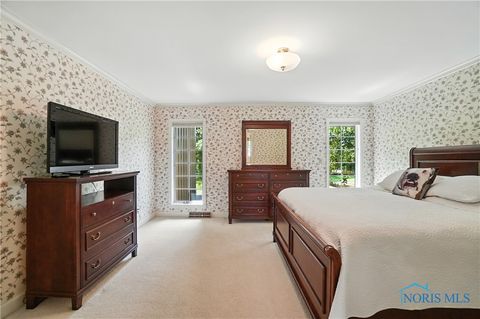 Tiny photo for 739 Riverside Drive, Woodville, OH 43469 (MLS # 6136727)