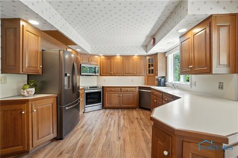 Tiny photo for 739 Riverside Drive, Woodville, OH 43469 (MLS # 6136727)