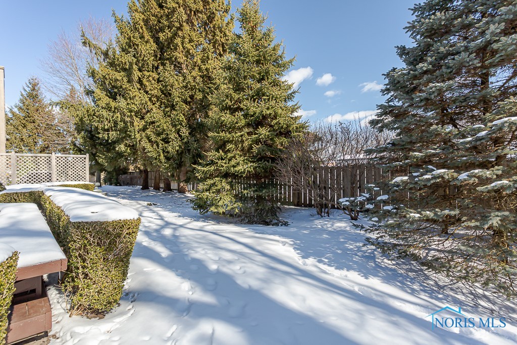 6743 Carrie Pine Lane #6743, Toledo, Ohio image 49