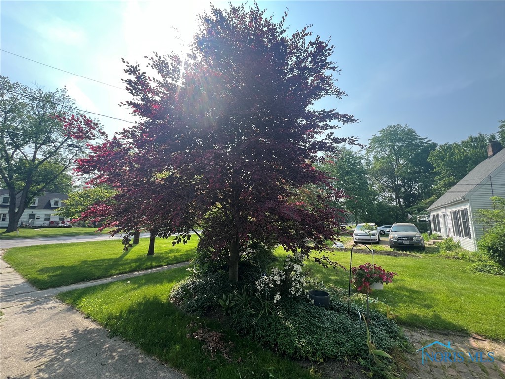 828 Louisiana Avenue, Perrysburg, Ohio image 5
