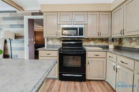 Tiny photo for 139 S Lind Street, Deshler, OH 43516 (MLS # 6136628)