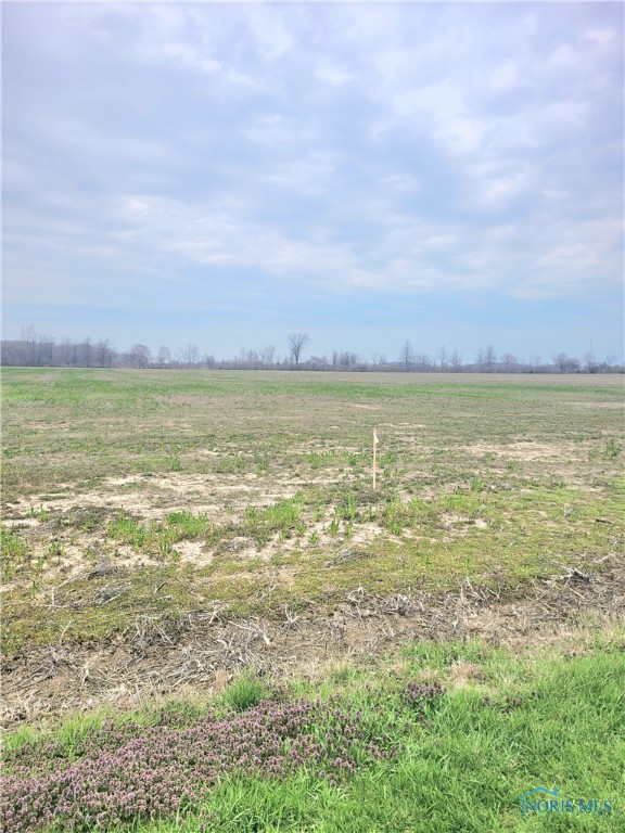 19433 W. Walbridge East Road, Martin, Ohio image 2