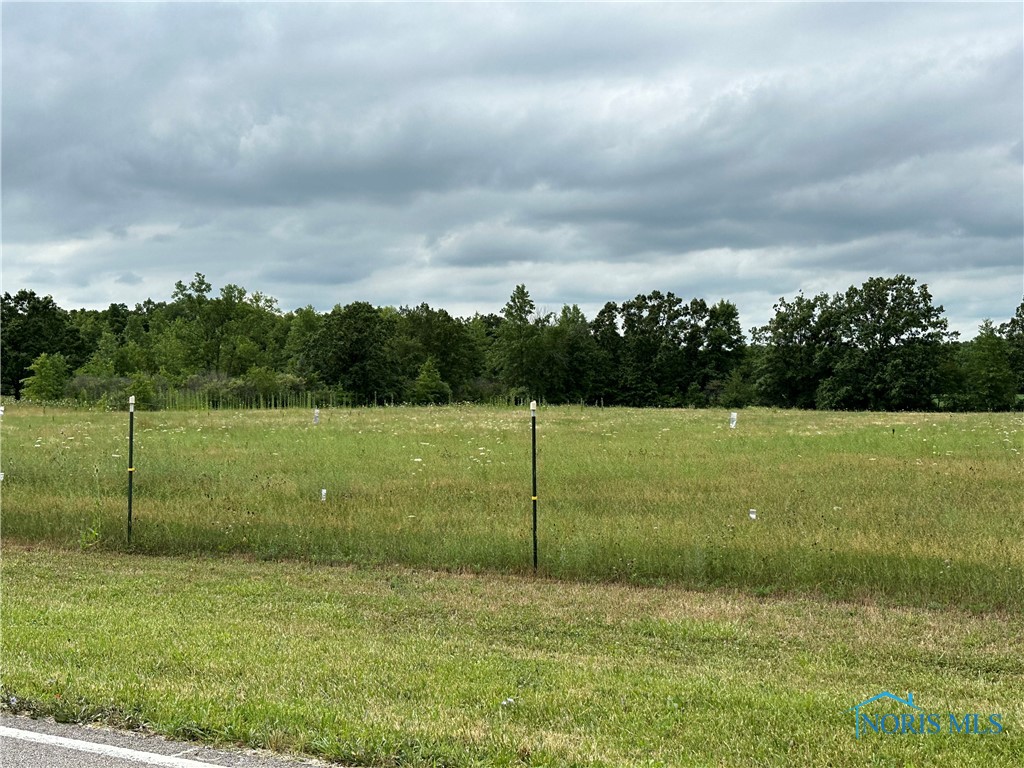 22593 Bowman Road