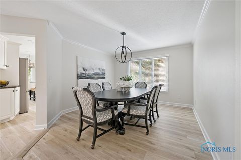 Tiny photo for 215 Stone Oak Court, Holland, OH 43528 (MLS # 6135949)