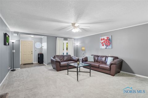 Tiny photo for 2511 County Road D, Swanton, OH 43558 (MLS # 6136967)