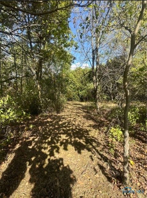 Tiny photo for 14500 County Road 216, Findlay, OH 45840 (MLS # 6136947)