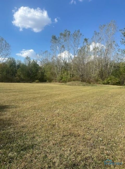 Tiny photo for 14500 County Road 216, Findlay, OH 45840 (MLS # 6136947)